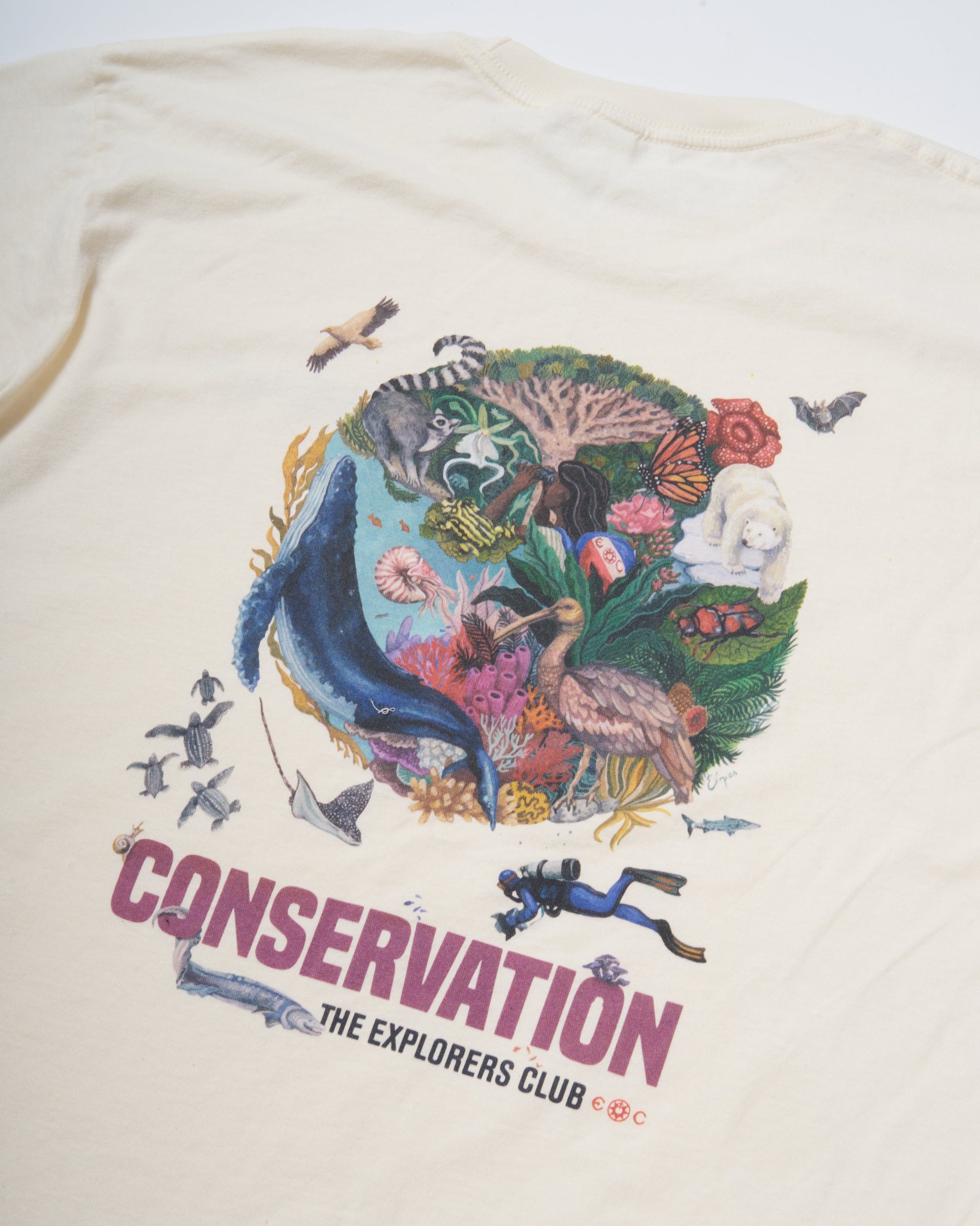 ECAD '23 Women's T-Shirt - Image 2