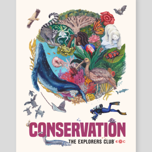 ECAD '23 Conservation Poster